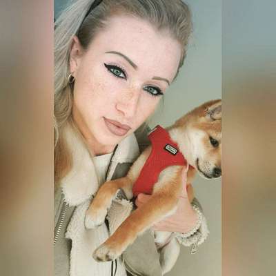 Hundetreffen-Welpentreffen Gass Runde-Profilbild