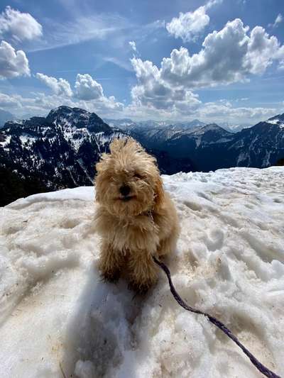 Fotochallenge Nr 107-Beitrag-Bild