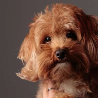 Jacqueline's Profilbild