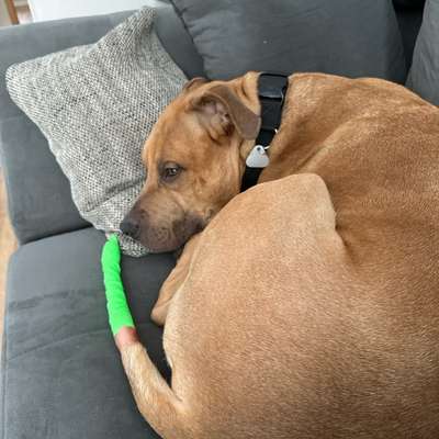 Rute aufgeschlagen-Beitrag-Bild