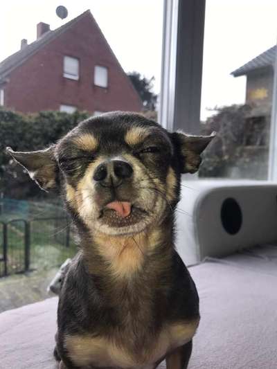 Her mit dem Grimassen-Beitrag-Bild