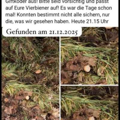 Giftköder-GIFTKÖDER in der Hahnwiese Creidlitz-Bild