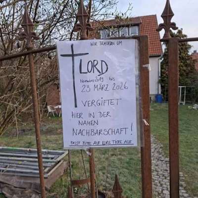 Giftköder-Vergiftet-Bild