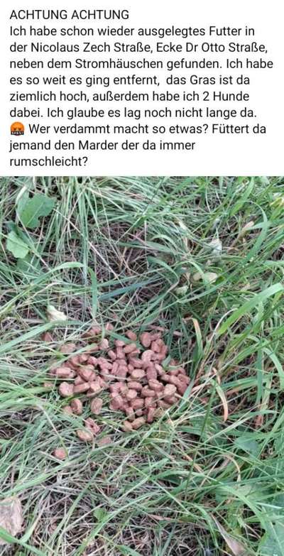 Giftköder-Erneut ausgelegtes Futter-Bild