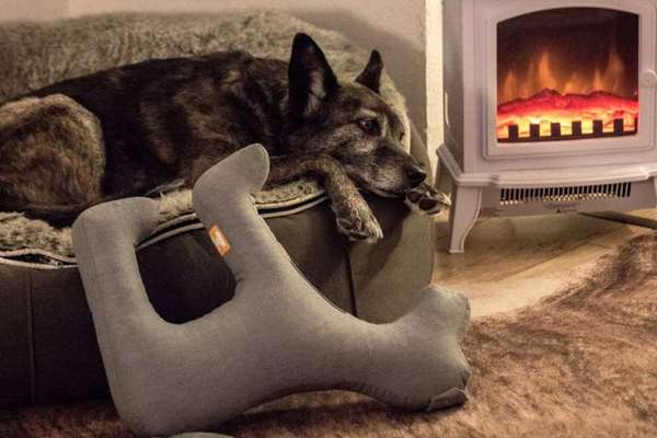 Dogorama Photo Challenge - Lieblingsspielzeug!-Beitrag-Bild