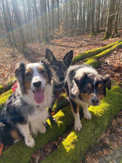 Fotochallenge 69-Beitrag-Bild