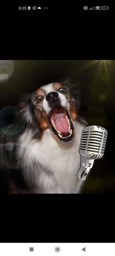 Photoshop und Co.-Beitrag-Bild