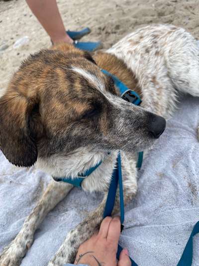 Fotochallenge Nr. 67: Euer Lieblingsbild-Beitrag-Bild