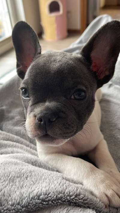 Fotochallenge Nr. 67: Euer Lieblingsbild-Beitrag-Bild