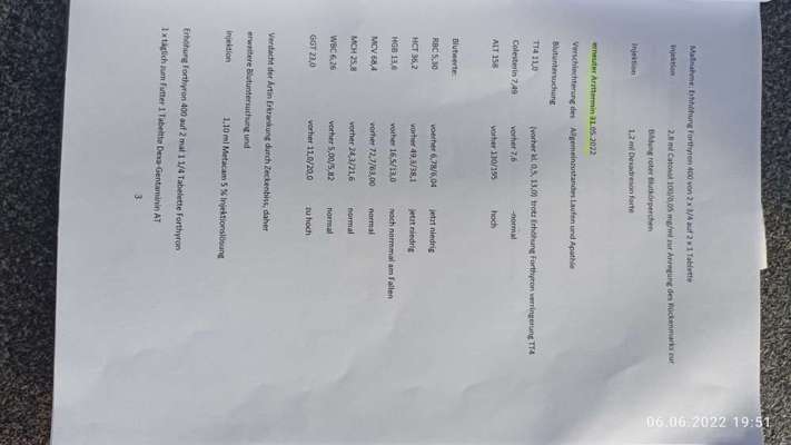 Anämie oder SU???  6 Wochen keine Besserung-Beitrag-Bild