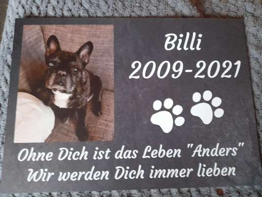 Unsere Sternchen ******-Beitrag-Bild