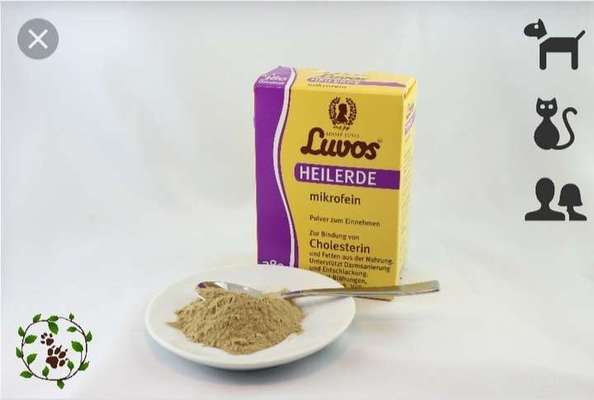 Magenübersäuerung-Beitrag-Bild