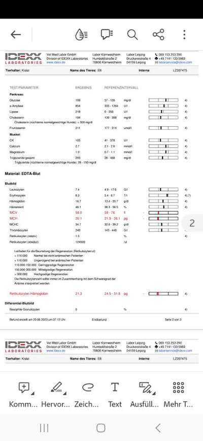 Blutwerte-Beitrag-Bild