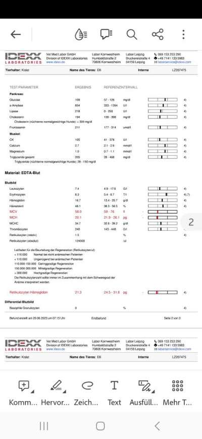 Blutwerte-Beitrag-Bild