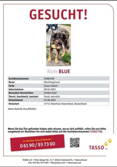 Suchmeldung-Blue-Bild