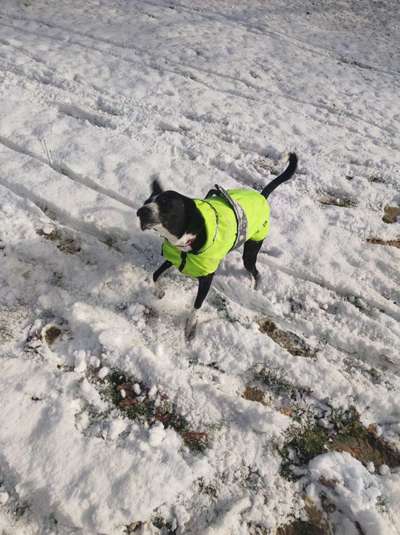 Verspielt-Beitrag-Bild