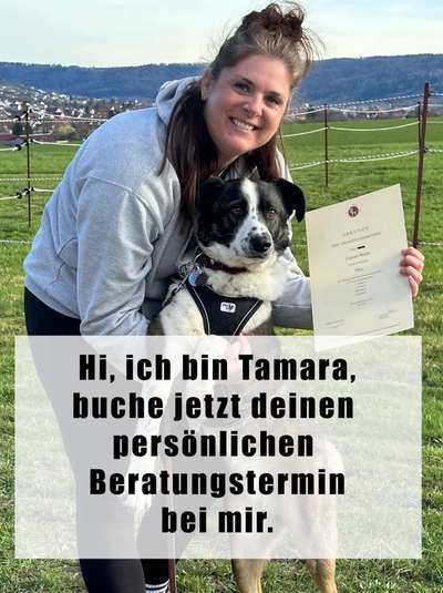 Giftköder-Individuelle Beratung Hundezubehör-Bild