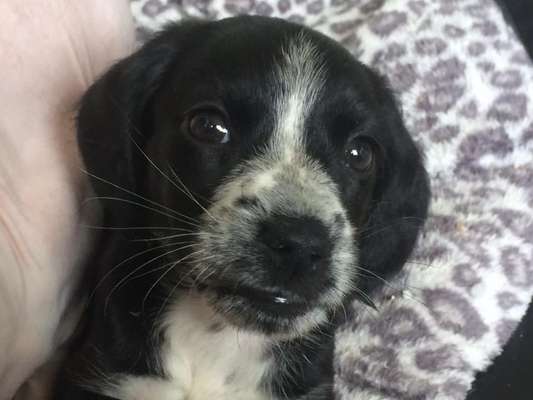 Sie werden so schnell erwachsen ...-Beitrag-Bild