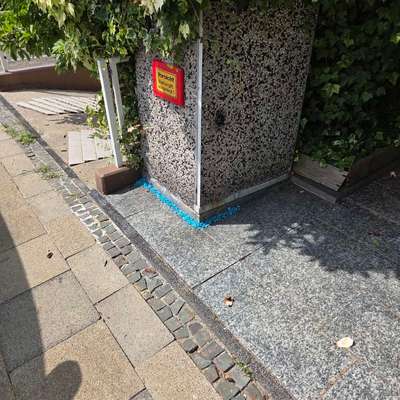 Giftköder-Rattengift-Bild
