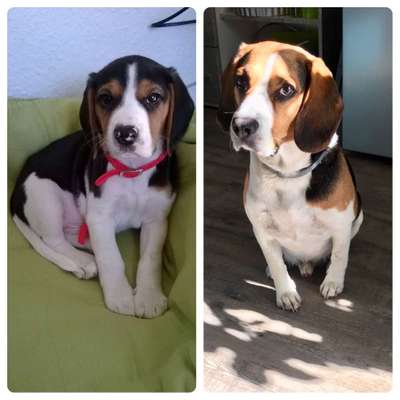 Vorher.... Nachher-Beitrag-Bild