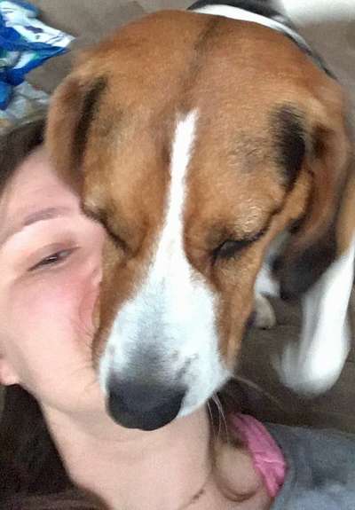 Die lustigsten Selfies mit Deinem Hund !-Beitrag-Bild