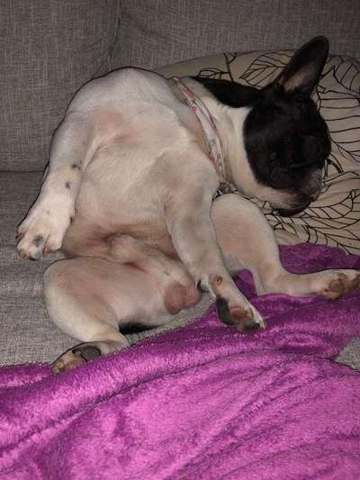 Die unbequemsten und lustigsten Schlafpositionen-Beitrag-Bild