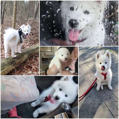 18. Collagen Challenge - Zunge raus!-Beitrag-Bild