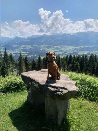 Dogorama Foto Challenge - Wanderziel-Beitrag-Bild