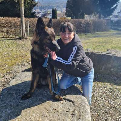 Hundetreffen-Schäferhund oder andere größere Rasse-Profilbild