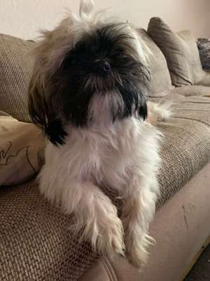 Vorher.... Nachher-Beitrag-Bild