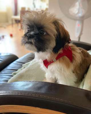 Vorher.... Nachher-Beitrag-Bild