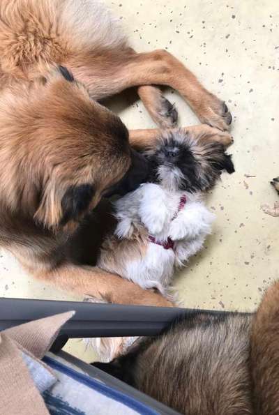 Lieblings Schnappschuss?-Beitrag-Bild