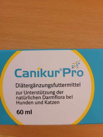 Lagotto Romagnolo Besitzer-Beitrag-Bild