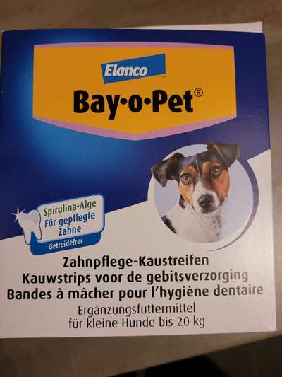 Lagotto Romagnolo Besitzer-Beitrag-Bild