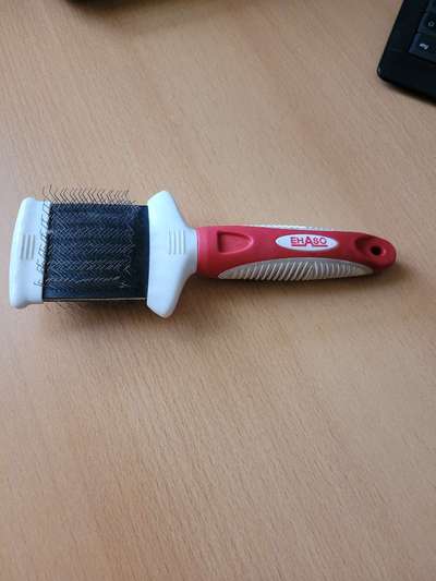 Lagotto Romagnolo Besitzer-Beitrag-Bild