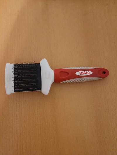 Lagotto Romagnolo Besitzer-Beitrag-Bild