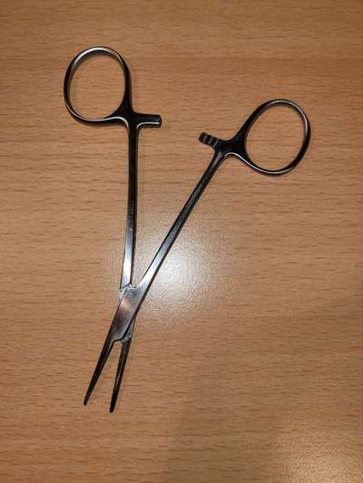 Lagotto Romagnolo Besitzer-Beitrag-Bild