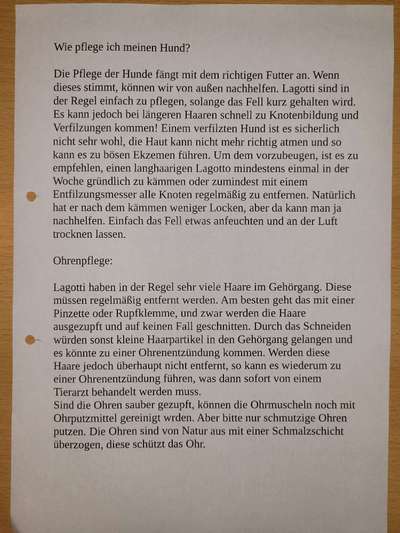 Lagotto Romagnolo Besitzer-Beitrag-Bild