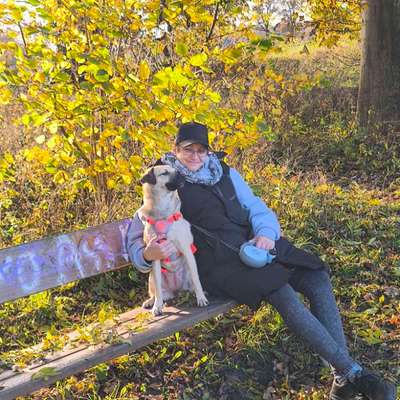 Hundetreffen-Zusammen spazieren gehen und kennen lernen-Bild