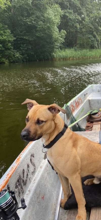 Dogorama-Monats-Challenge-Mai "Wasser"-Beitrag-Bild