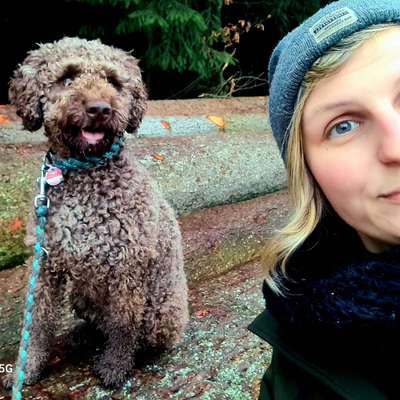 Hundetreffen-Gassi-Buddy gesucht für neue Abenteuer 🐶