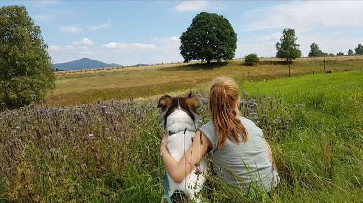 Fotowettbewerb Natur-Beitrag-Bild