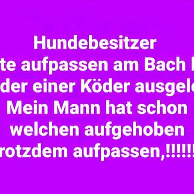 Giftköder-Giftköder in Heimerzheim-Bild