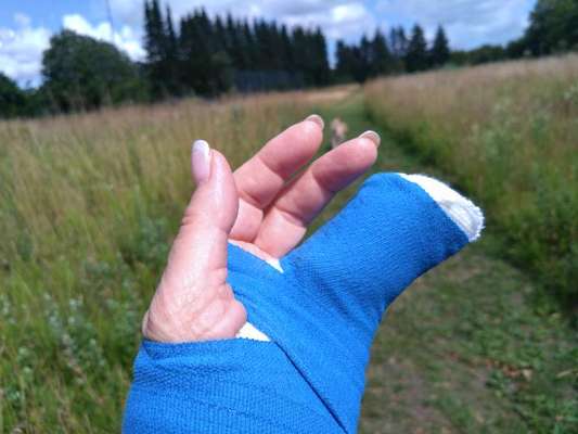 Radfahren mit Hund-Beitrag-Bild