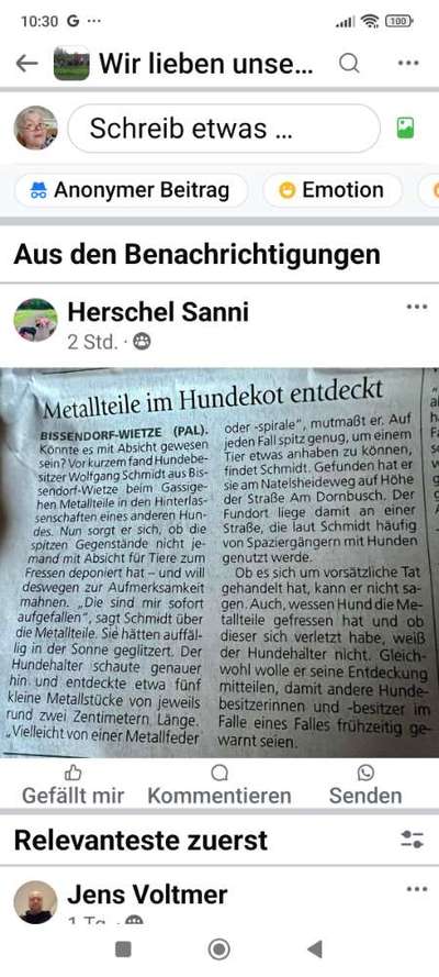 Giftköder-Metallteile in Hundekot!!-Bild