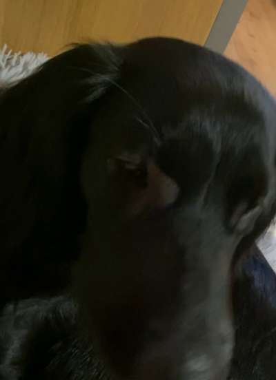 Dickes Auge-Beitrag-Bild