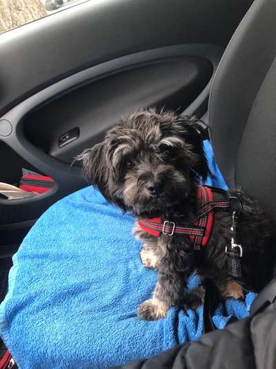 117. Fotochallenge-Beitrag-Bild