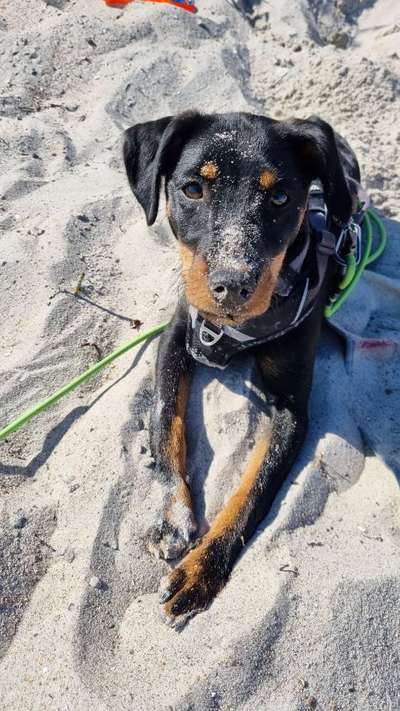 Lieblingsbild :D-Beitrag-Bild