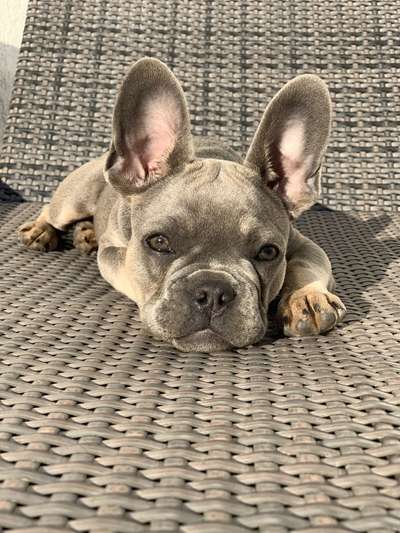 Fotochallange Nr. 57     PORTRÄT.   Beendet!!!!!!!!-Beitrag-Bild