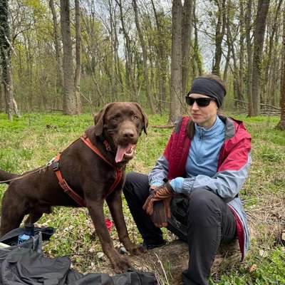 Hundetreffen-Social Walks und Spieltreffen in der Seestadt-Bild